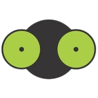 Radio Kameleon Logo