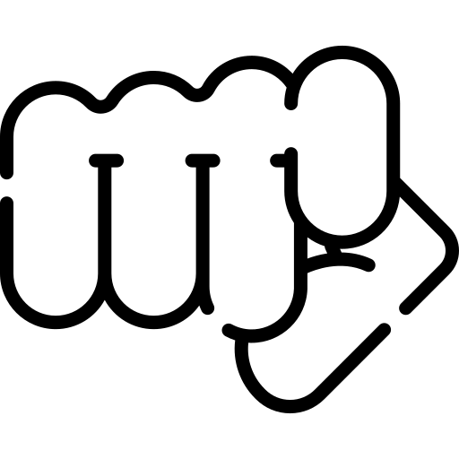 Your Company Icon